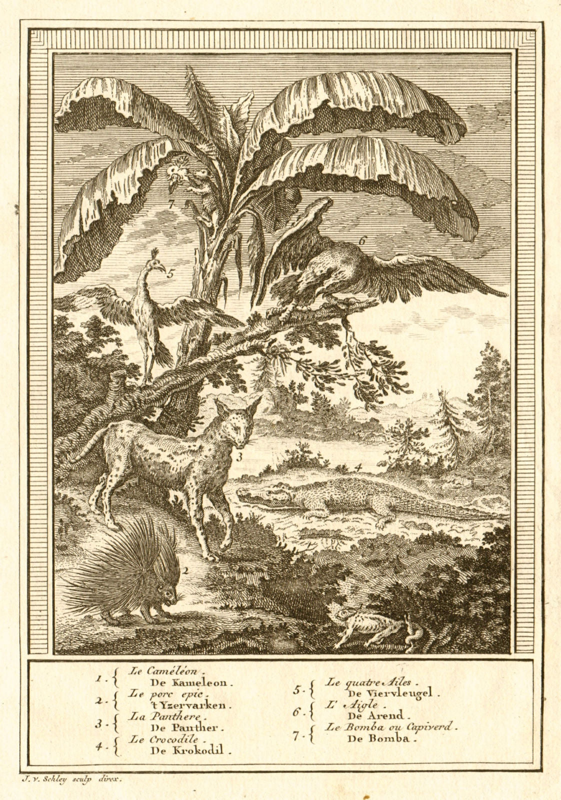 Africa. Chameleon Porcupine Panther Crocodile Four Wings Capiverd. SCHLEY 1747